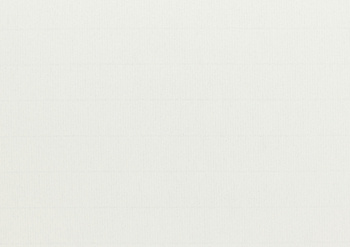 Colourmount 487 White Ingres Passe-Partout (paspartu) karton dekoracyjny Slater Harrison