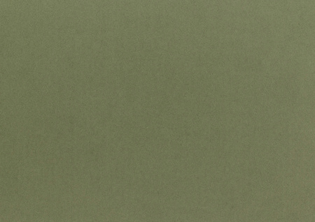 830 Sage Green Passe-Partout (paspartu) karton dekoracyjny Slater Harrison